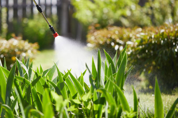 24/7 Emergency Ant Control experts in Kingston, RI