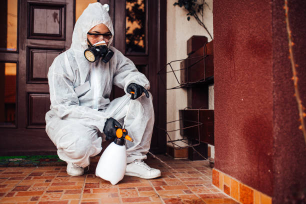 Reliable Ant Control contractor in Kingston, RI by Show Me Pest Control